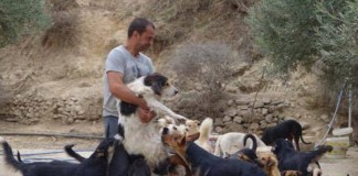 Pengabdian Dokter Gigi Yang Beralih Profesi Menjadi Penyelamat Ratusan Anjing Di Yunani