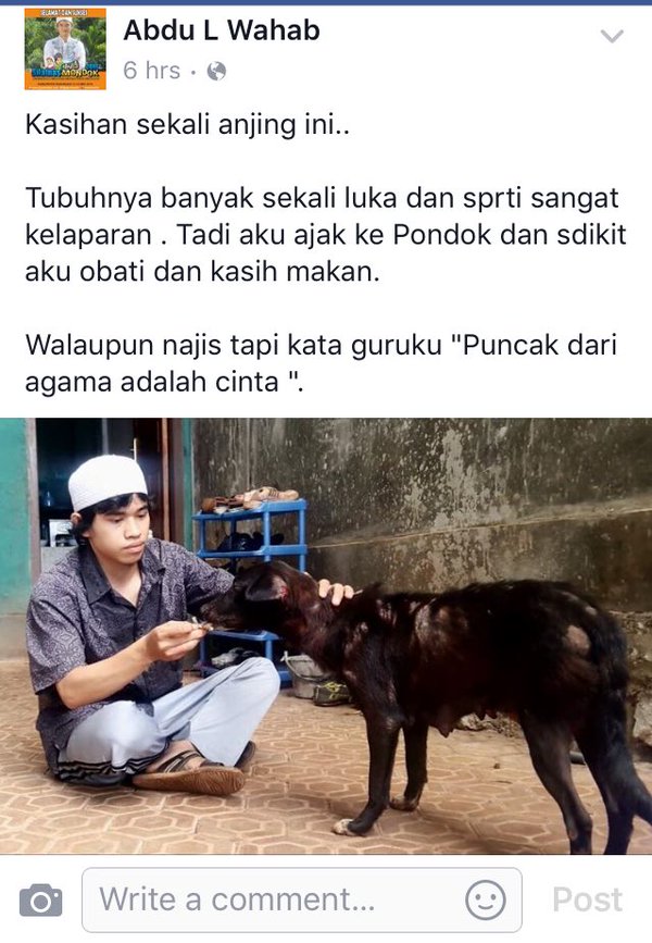 Kisah dibalik foto seorang santri di Papua yang menolong dan menyuapi seekor anjing